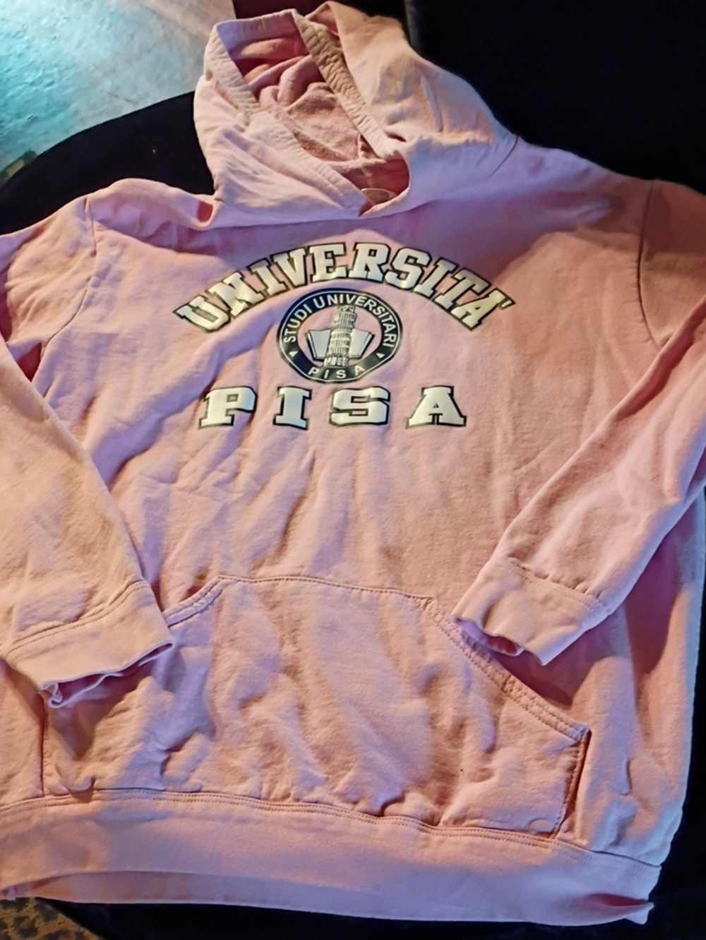 Universita Pisa Pink Hooded Sweatshirt